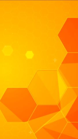 HaloPSA to NetSuite Integration video preview